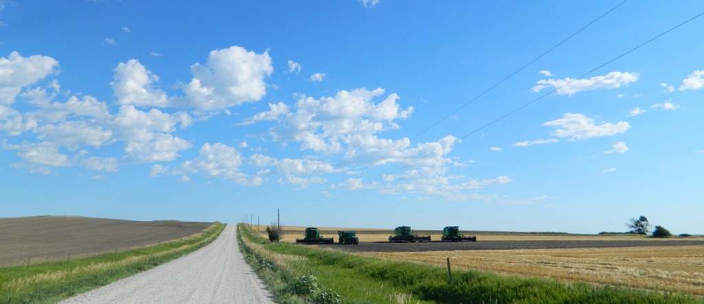 Wheat combines ready to run