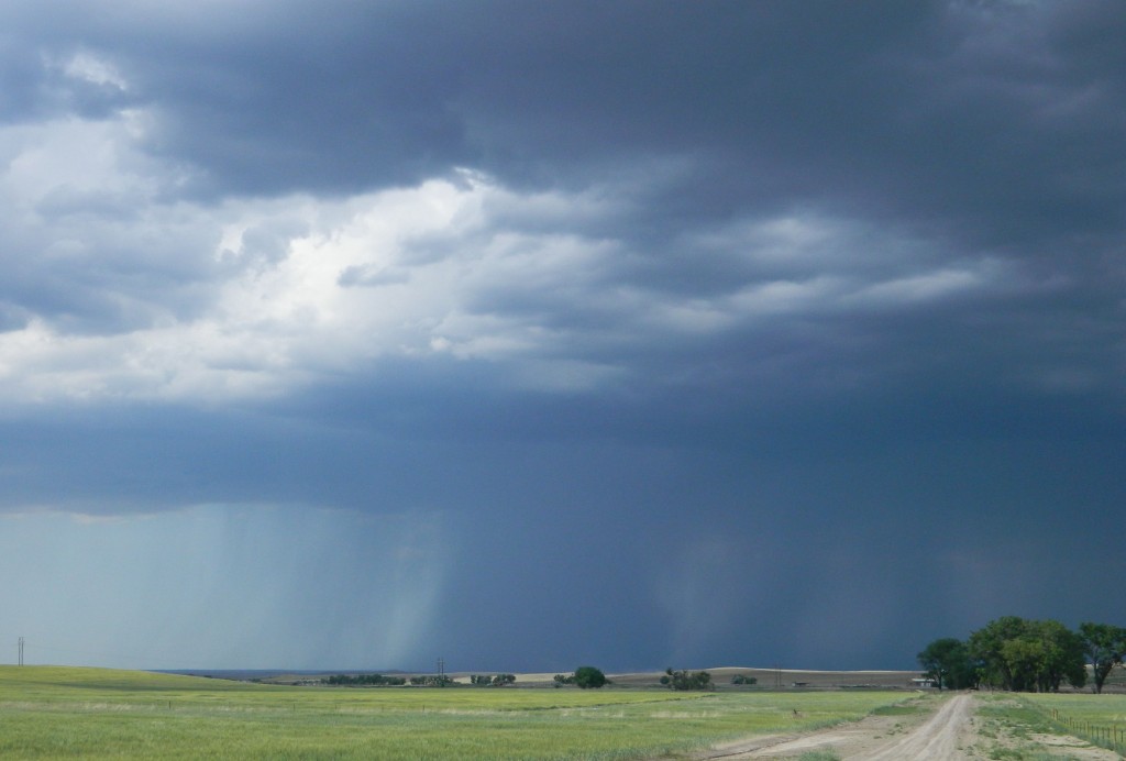 Thunderstorm rains down on wheat fields north of Chadron, NE.
