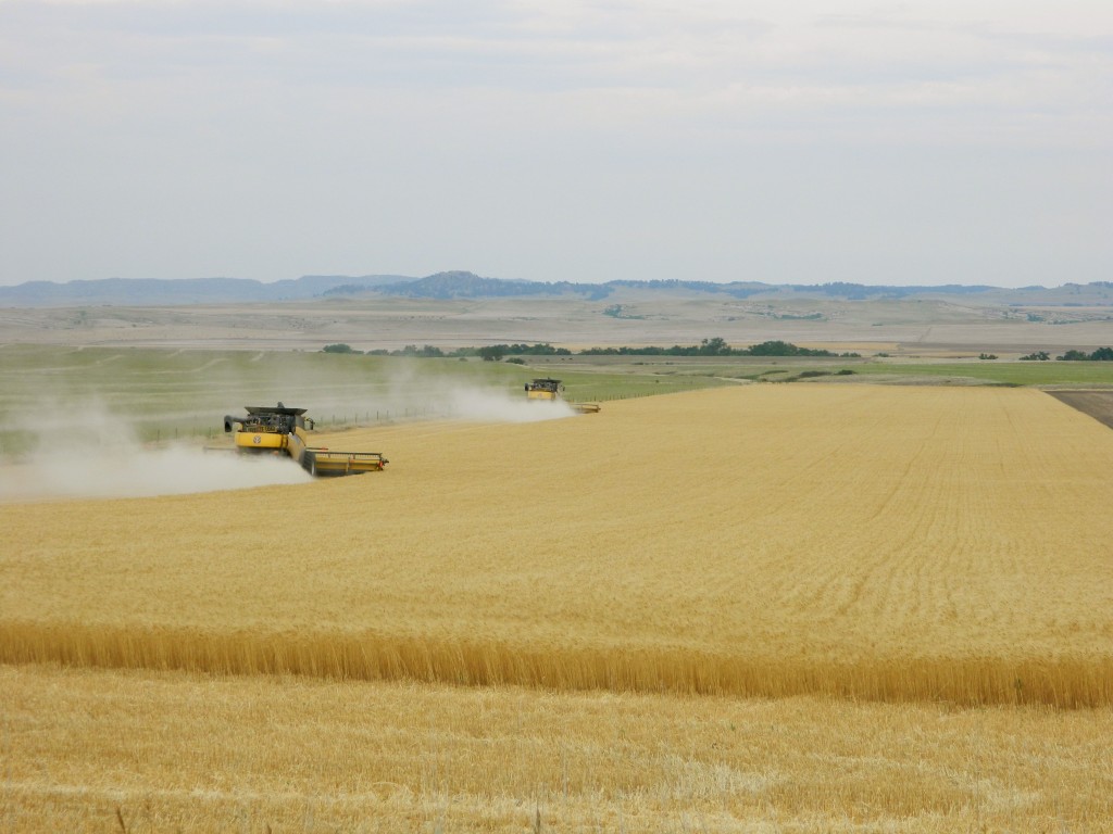 Wheat harvesters in Western Nebraska